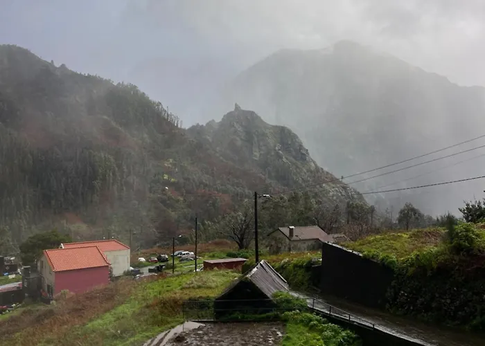Forest View Countryside
