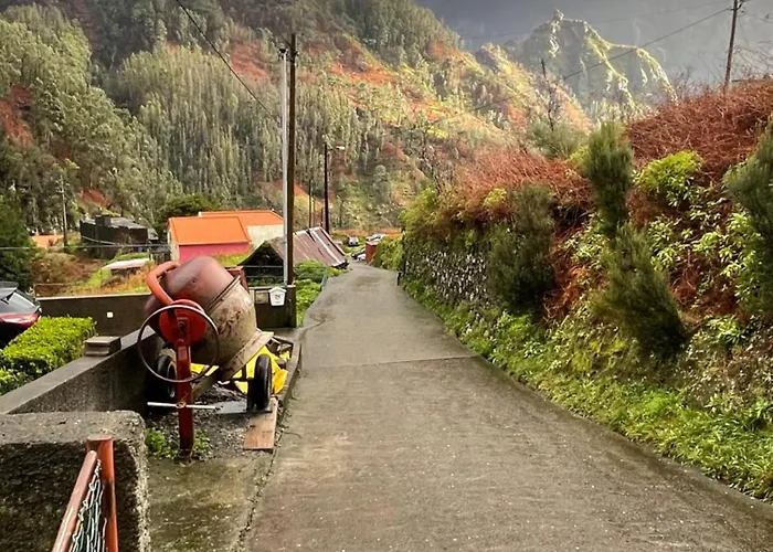 Ferienhaus Forest View Countryside