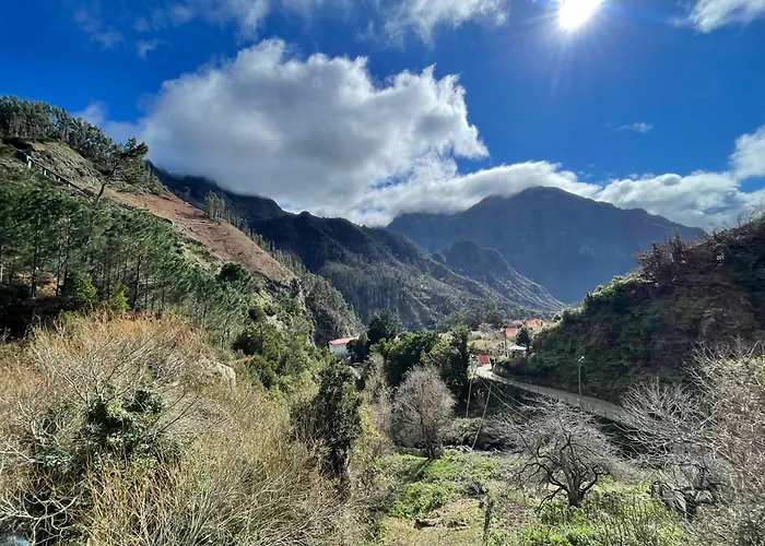 Ferienhaus Forest View Countryside