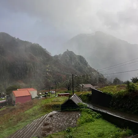 Forest View Countryside