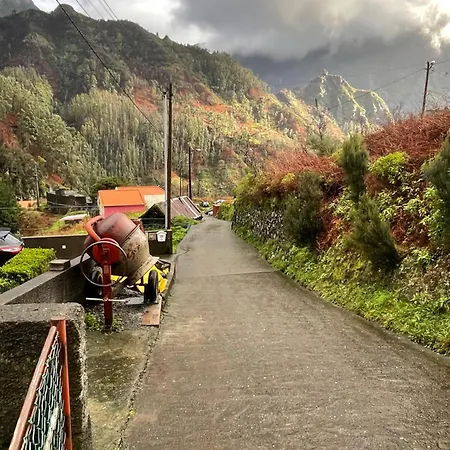 Ferienhaus Forest View Countryside